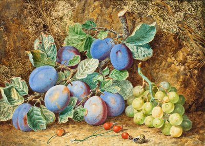 Plums and Grapes by Thomas Collier